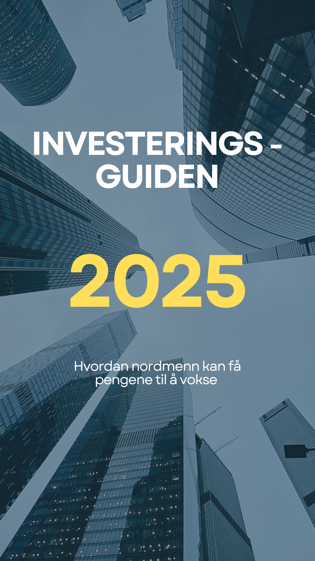Investeringsguiden 2025 - E-bok